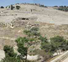 Oljski gori v Jeruzalemu: Glavni svetišča in zanimive kraje