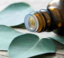 Eucalyptus eterično olje: lastnosti in uporabo, navodila in povratne informacije