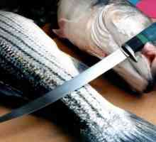 Kako izbrati ledveni nož ribe. nož kakovosti za rezanje ribe