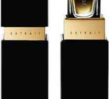 Ženske in moške parfume Eisenberg: Parfumi in ocene uporabnikov