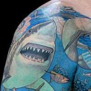 Kaj tetovažo "morski pes"?